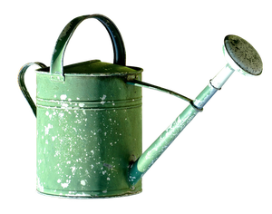 Regadera moderna de acero inoxidable de 1 litro y 1,3 litros Ideas únicas para plantar jardines con el último modelo de diseño para exteriores - Product Image 5