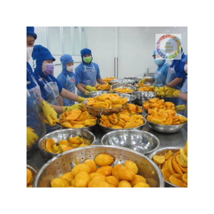 Cubes de mangue congelés de haute qualité récolte 2025 approvisionnement d'exportation fiable pour les commandes en gros - Product Image 5