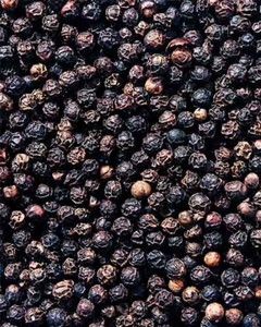 POIVRE DU VIETNAM DE QUALITÉ SUPÉRIEURE / HAUTE QUALITÉ POUR L'EXPORTATION POUR LE MARCHÉ MONDIAL - Product Image 1