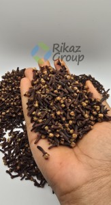 Clous de girofle séchés 100% de haute qualité directement du Soudan pour le produit agricole de qualité supérieure - Product Image 4