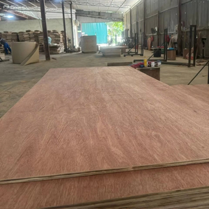 Contreplaqué de placage de Bintangor de qualité supérieure du Vietnam, idéal pour les armoires et les revêtements muraux - Product Image 2