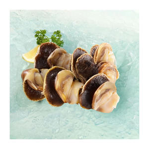 Concha congelada al por mayor lista para la exportación con tamaño consistente y sabor Premium - Product Image 4