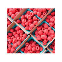 Raspberry IQF Musim Baru Produk Beku Segar IQF Raspberry Buah Raspberry Beku