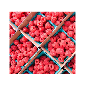 Iqf Raspberry New Season <b>Fresh</b> Frozen Product IQF Raspberries <b>Fruits</b> Frozen Raspberry - Product Image 5