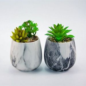 Fabricant fiable de jardinières minimalistes en marbre pour la décoration moderne de la maison, améliorant l'espace vert avec un élégant récipient en pierre - Product Image 1