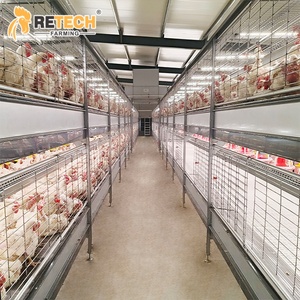 Équipement d'élevage avicole en acier galvanisé à chaud, cage automatique à 2/3/4 niveaux pour poulets de chair et reproducteurs avec zone de grattage - Product Image 2