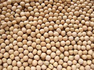 Double Tongues Premium Pois secs en vrac riches en protéines, riches en crème ou en protéines blanches, légumineuses saines, durée de conservation de 12 mois, à vendre - Product Image 3