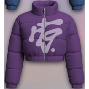 Chaquetas Cortas Acolchadas Premium Personalizadas para Mujer 2026, Abrigos Cortos Acolchados, Abrigos Cálidos de Invierno para Mujer, Chaquetas Bomber Acolchadas para Mujer - Product Image 3
