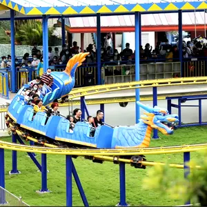 China supplier sliding dragon train amusement track rides mini roller coaster