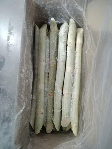 Palitos de Caña de Azúcar Congelados Cortados para Uso Comercial en Jugos y Bebidas - Product Image 3