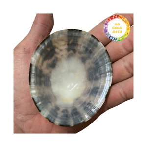 เปลือกหอยเปลือกหอยเปลือกหอยพรีเมี่ยมสำหรับสตรี - Product Image 2