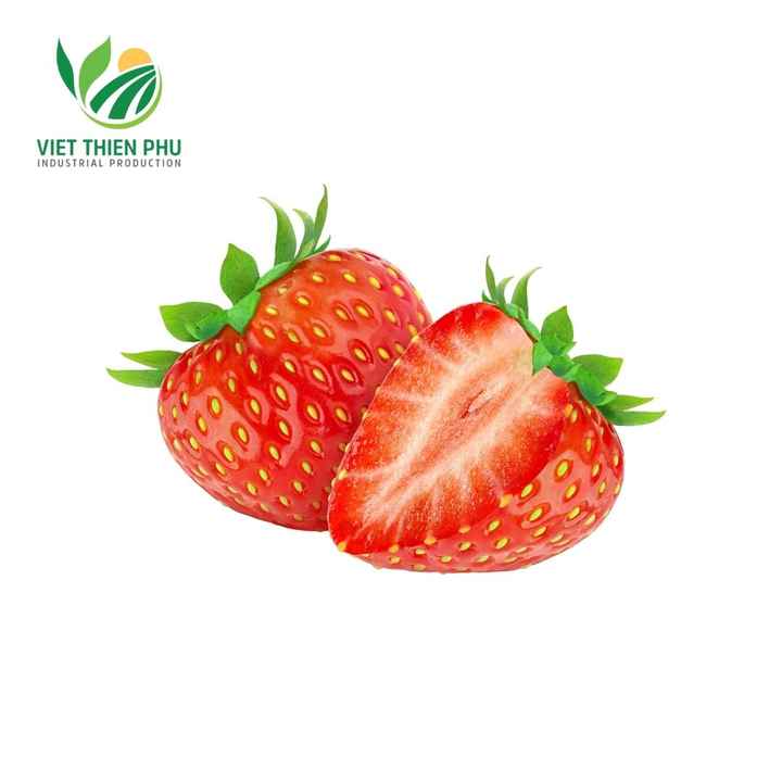 Organic Frozen Whole Strawberry from Vietnam IQF Process Bulk Packed and Water Preserved Ready for Export