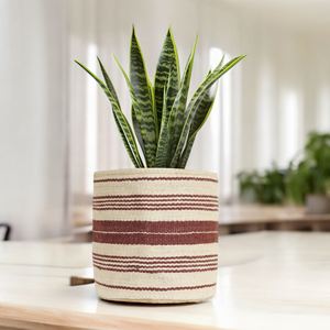 Maceta de yute ecológica 100% natural más vendida, macetas de yute, cestas de yute trenzadas, cesta de lavandería a precio de fábrica - Product Image 4