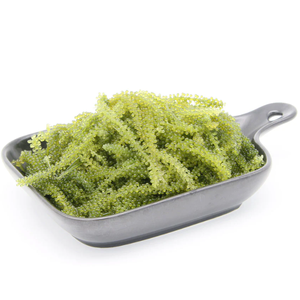 HAUTE QUALITÉ-RAISINS DE MER DÉSHYDRATÉS/CAVIAR VERT AU SAVEUR FRAIS - Product Image 5