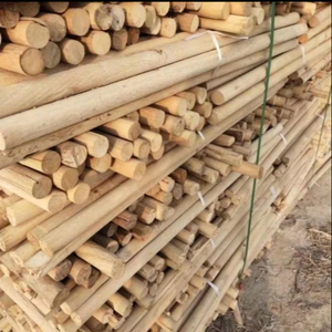 Gran cantidad de madera en rollo de Vietnam para producción agrícola y muebles - Product Image 3