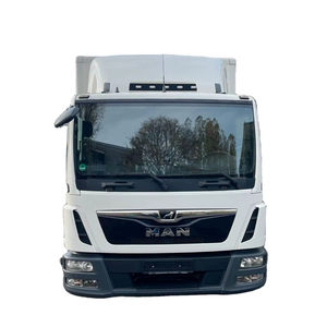 Camion à benne basculante miniature T G L 12.250 8X4 LBW 2022, moteur diesel, transmission automatique, système hydraulique, norme d'émission Euro 6, occasion rapide, conduite à gauche - Product Image 1