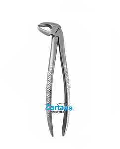 Pince d'extraction non stérile en acier inoxydable de haute qualité Anteriorrs inférieurs et prémolaires Fig 13 Instrument dentaire - Product Image 1