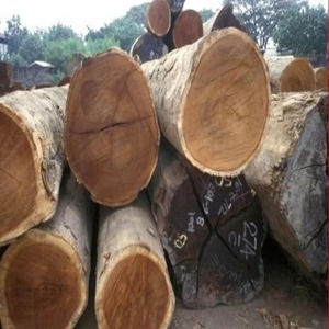 High Quality Doussie Timber <b>Wood</b> <b>Logs</b> - Raw Material High Quality LOW TAX - Product Image 2