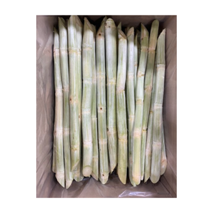 Canne à sucre de haute qualité, canne à sucre verte, canne à sucre congelée du Vietnam pour l'exportation - Product Image 3