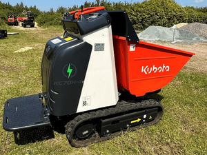 รถดัมพ์ตีนตะขาบ Kubota เครื่องยนต์ Epa ขนาด 1000 กก. รถดัมพ์ขนาดเล็กแบบ Crawler พร้อมใบรับรอง CE รับสั่งทำตามความต้องการ มีจำหน่าย - Product Image 3