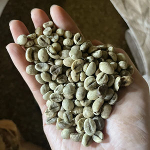 [Premier exportateur vietnamien] Robusta Green Coffee Beans Premium Grade ISO Certified New Crop 2025 - Product Image 1