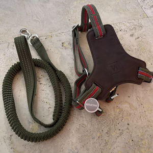 Imra Impex Harnais réfléchissant pour chien avec laisse extensible assortie Plaque de poitrine en PU vert olive pour chiens moyens 20 50 lb - Product Image 2