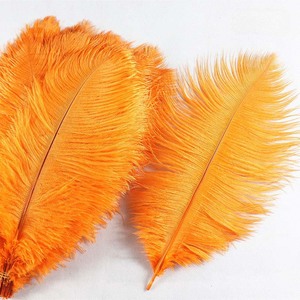 Fournisseur de plumes en gros pleine grandeur 25-30cm plumes d'autruche vert foncé naturel pas cher pour la vente d'artisanat - Product Image 5