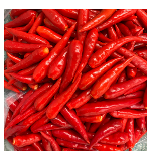 Épices entières fraîches du fabricant vietnamien agricole professionnel Service après-vente exceptionnel pour les légumes chili crus - Product Image 6