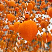 Groothandel Premium Gedroogde Persimmon Zoete Traditionele Snack Puur Natuurlijk Diospyros Kaki Fruit