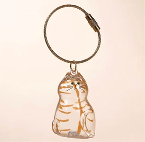 Llavero de cápsula de pelo de gato de aleación de aluminio transparente reutilizable moderno | Bola de almacenamiento de pelo de mascota | Recuerdo de pelo de gato conmemorativo - Product Image 2