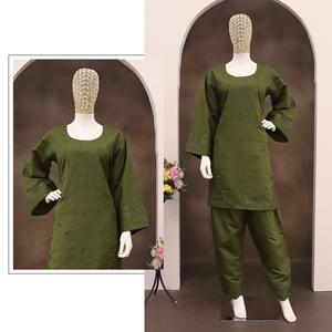 Ensemble de cordon Farshi pour femmes élégantes avec broderie détaillée pour les mariages, les festivals, la silhouette droite - Product Image 1