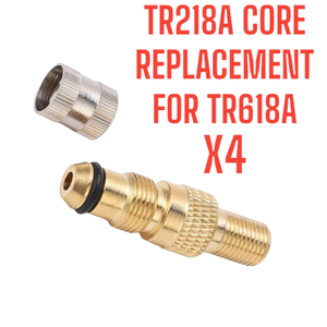 4 pièces TR218A de remplacement pour TR618A CORE STEM AGRICULTURAL AIR-LIQUID - Product Image 4