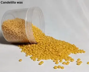 Kozmetik sınıf Candelilla balmumu cilt bakım ürünü toptan tedarikçi ve ihracatçı için hindistan