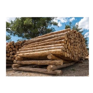 Bûches rondes en bois de meranti séchées à l'air-Projets d'artisanat, de menuiserie et de bricolage - Product Image 6