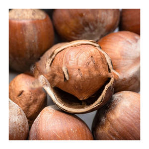 เมล็ดเฮเซลนัทคั่ว & ลวก - Product Image 6