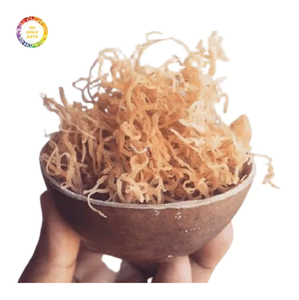 Alga Marina Seca de Algodón de Mar al por Mayor, Materia Prima Natural para Aditivos Alimentarios e Industria de Carragenina - Product Image 1