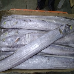 Venta al por mayor precio bajo congelado cinta pescado de alta calidad en stock entrega rápida comprar hoy para la venta - Product Image 6