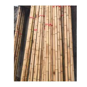 Piquets de bambou séchés de longueur personnalisée, best-seller, bâtons de bambou droits, grande taille, résistance et durabilité - Product Image 3