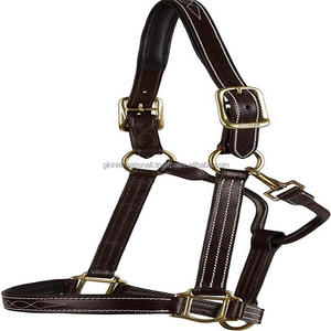 Caballo ecuestre Premium de cuero marrón oscuro, cuello Halter, costura de contraste, acolchado, a presión - Product Image 4