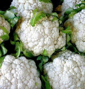 สดใหม่: บรอกโคลีออร์แกนิกจากเวียดนามมาตรฐานการส่งออก - Product Image 2