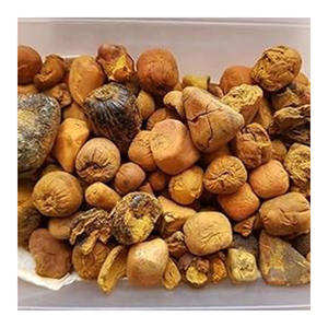 Producto de extracto de animales Premium de buey seco de calidad fresca al mejor precio - Product Image 6