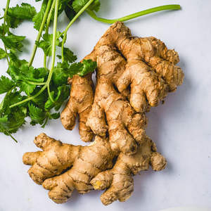 ขายส่งขิงสดราคาขิงเหลือง / ขิงสดประเทศไทย / ผู้ส่งออกขิงสดออร์แกนิก - Product Image 3