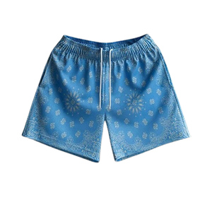 Short de basket-ball en maille fait sur mesure, vente à chaud multicolore à bas prix pour homme Short de basket-ball en maille - Product Image 5