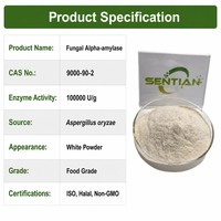 Poudre d'enzyme alpha-amylase fongique de qualité alimentaire 100 000 U/g pour la pâtisserie