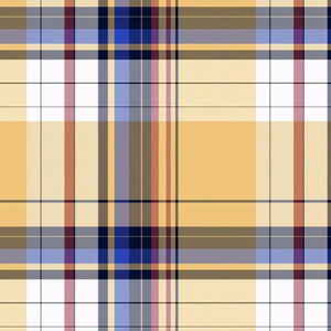 Performance quotidienne chemises de mode haut de gamme pour garçons filles Premium doux Durable Oxford Weave tissu Unique fil teint motif - Product Image 1