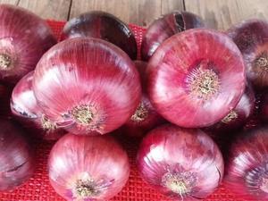 Premium Qualität Rote Zwiebel Neue Ernte Ägypten Frische Rote Zwiebeln Guter Preis Natürliche Gesunde Rote Zwiebeln Großhandel - Product Image 4
