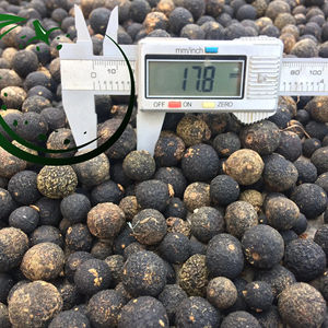 ส่งออกส้มอ่อนแห้งคุณภาพสูงจํานวนมากจากเวียดนาม - Product Image 1