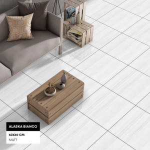 Premium Choice Diseño moderno Grand Tile Cerámica Alta calidad China Fabricado en India Escuela Hotel Recepción Uso para inodoros - Product Image 1