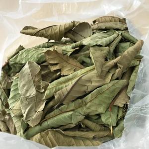 El precio más bajo de hojas de guayaba a granel, hojas de guayaba naturales para hacer bebidas de té de hierbas - Product Image 5