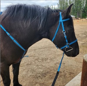 เชือกแขวนคอแบบทนทานสำหรับนักขี่ม้าทนทานต่อน้ำวัสดุมันวาวเป็นมิตรกับสภาพอากาศพร้อมฮาร์ดแวร์ทองเหลืองสังกะสีทนทาน - Product Image 2